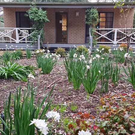 Barossa Country Cottages Lyndoch Экстерьер фото