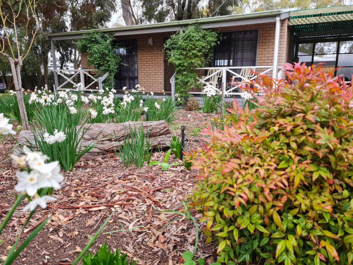 Barossa Country Cottages Lyndoch Экстерьер фото
